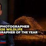 Sitaram Raul Wins Wildlife Photography Award for ‘Shifting Sand’